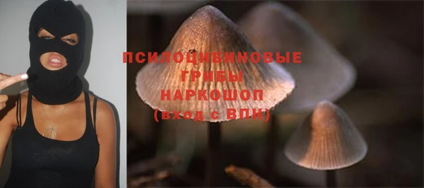 тгк Алексеевка