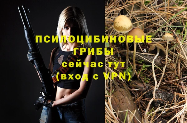 тгк Алексеевка