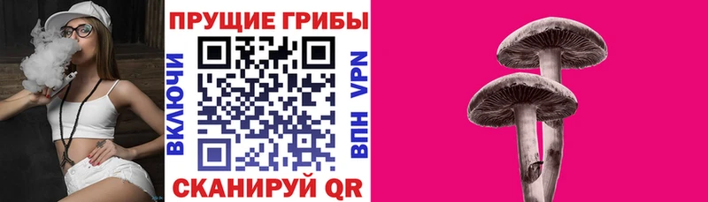 Галлюциногенные грибы мицелий Дзержинский